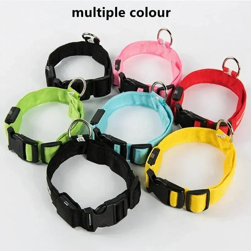 LED Dog Collar | Rechargeable Glowing Safety Collar for Night Walks - Bright Starz Store