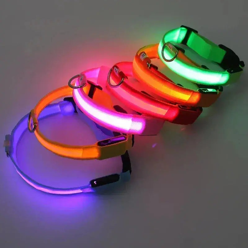 LED Dog Collar | Rechargeable Glowing Safety Collar for Night Walks - Bright Starz Store
