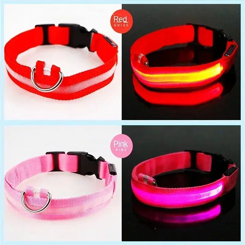 LED Dog Collar | Rechargeable Glowing Safety Collar for Night Walks - Bright Starz Store