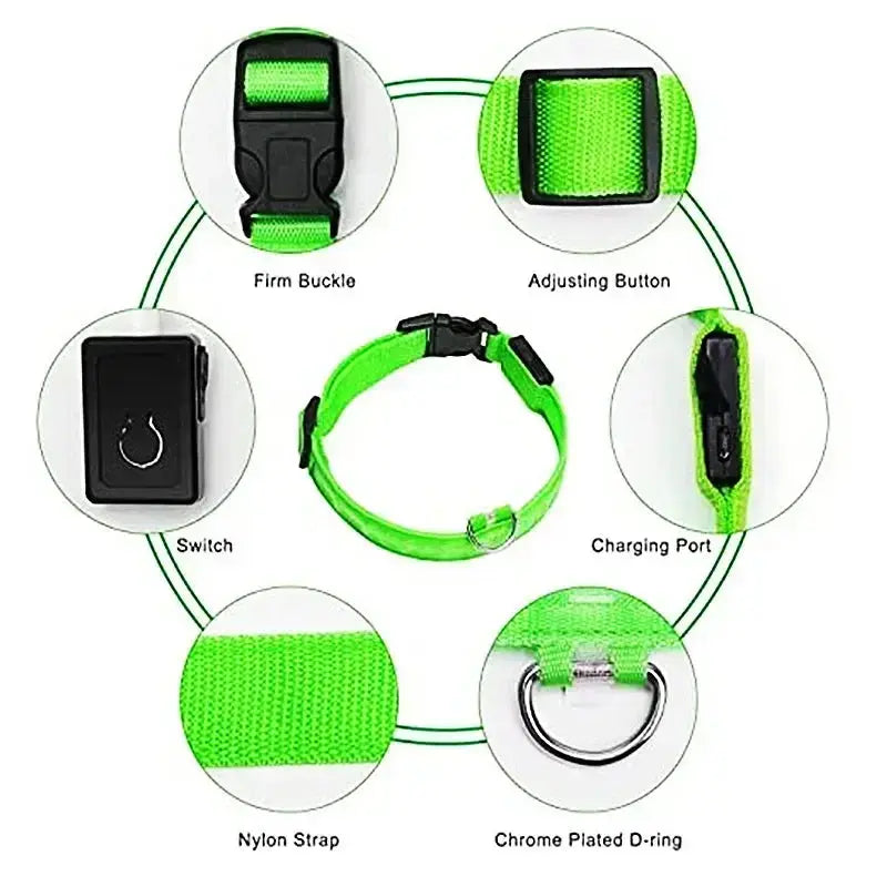 LED Dog Collar | Rechargeable Glowing Safety Collar for Night Walks - Bright Starz Store