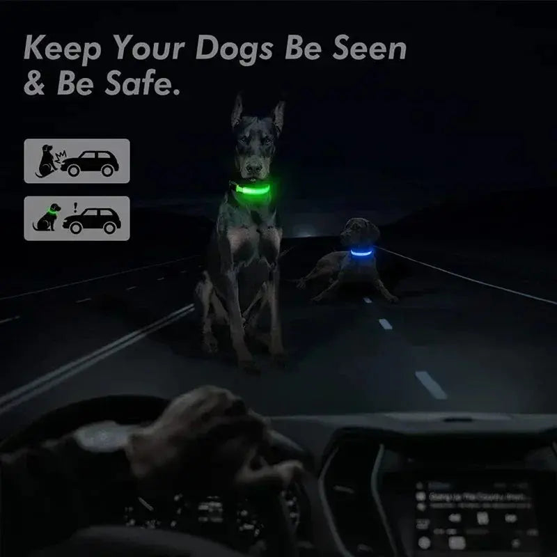 LED Dog Collar | Rechargeable Glowing Safety Collar for Night Walks - Bright Starz Store