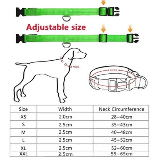 LED Dog Collar | Rechargeable Glowing Safety Collar for Night Walks - Bright Starz Store