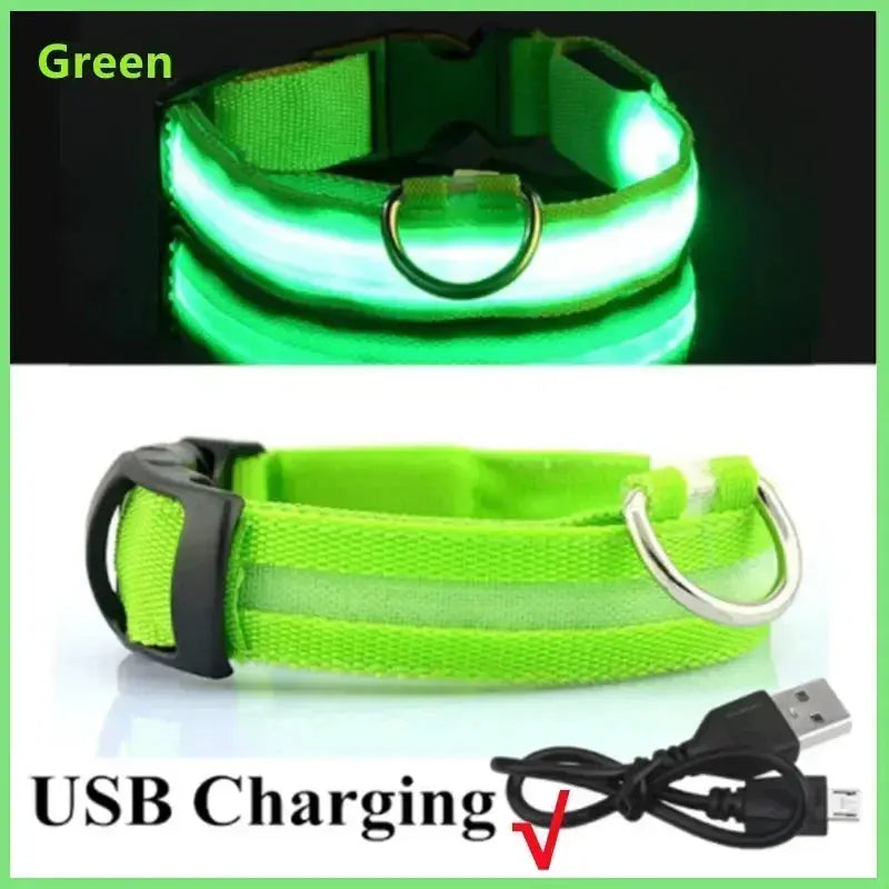 LED Dog Collar | Rechargeable Glowing Safety Collar for Night Walks - Bright Starz Store