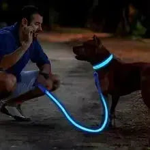 LED Dog Collar | Rechargeable Glowing Safety Collar for Night Walks - Bright Starz Store