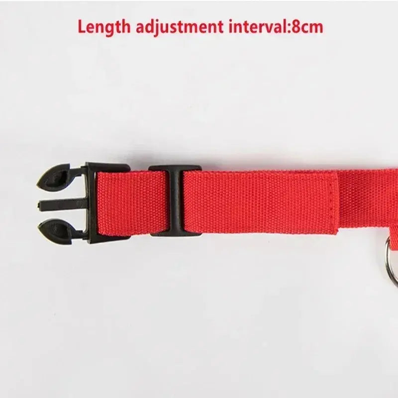 LED Dog Collar | Rechargeable Glowing Safety Collar for Night Walks - Bright Starz Store