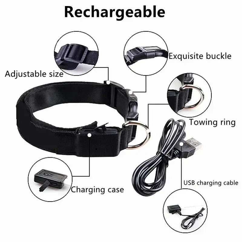 LED Dog Collar | Rechargeable Glowing Safety Collar for Night Walks - Bright Starz Store