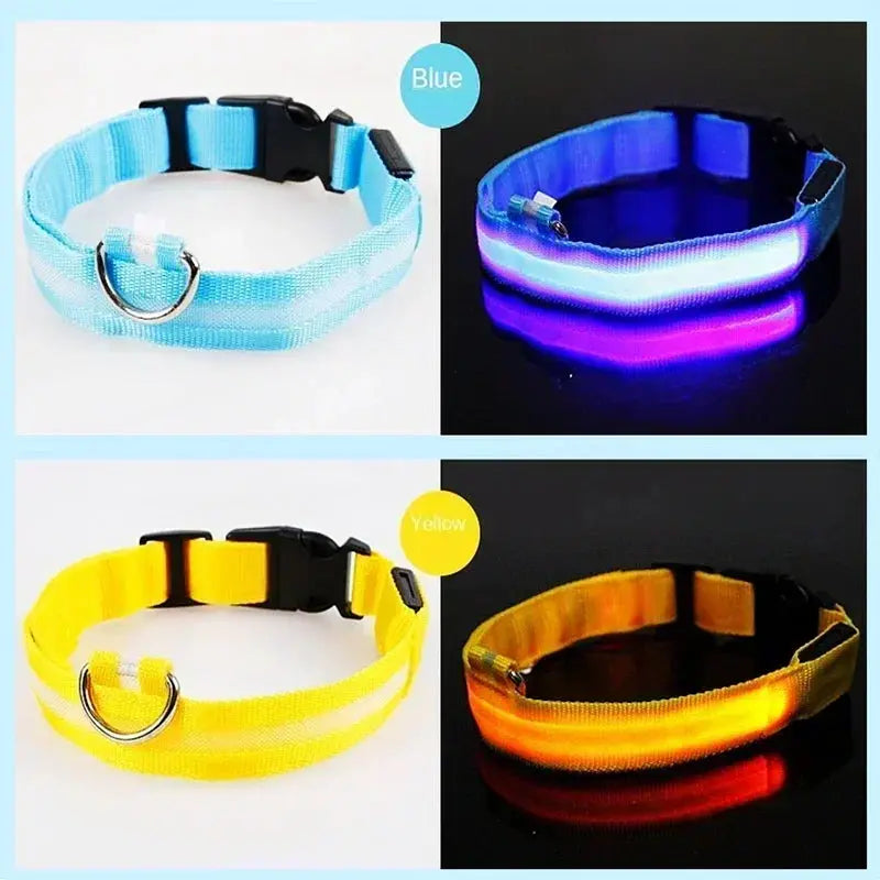 LED Dog Collar | Rechargeable Glowing Safety Collar for Night Walks - Bright Starz Store