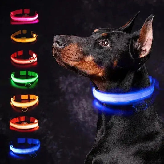 LED Dog Collar | Rechargeable Glowing Safety Collar for Night Walks - Bright Starz Store