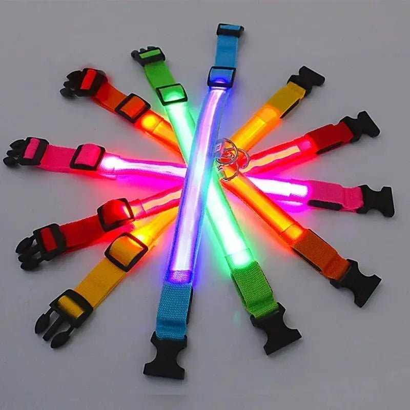 LED Dog Collar | Rechargeable Glowing Safety Collar for Night Walks - Bright Starz Store