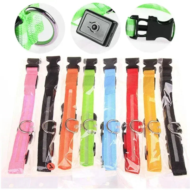 LED Dog Collar | Rechargeable Glowing Safety Collar for Night Walks - Bright Starz Store
