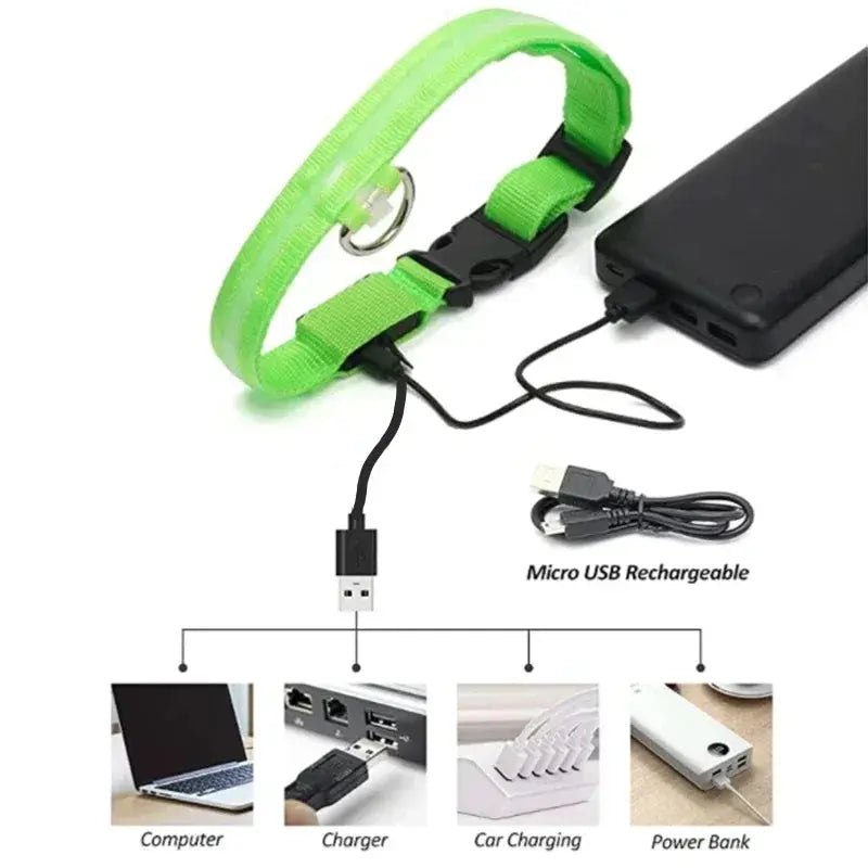 LED Dog Collar | Rechargeable Glowing Safety Collar for Night Walks - Bright Starz Store