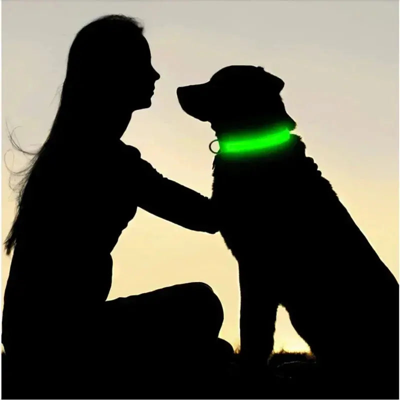 LED Dog Collar | Rechargeable Glowing Safety Collar for Night Walks - Bright Starz Store