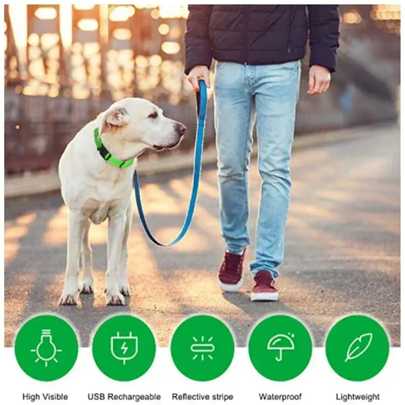 LED Dog Collar | Rechargeable Glowing Safety Collar for Night Walks - Bright Starz Store