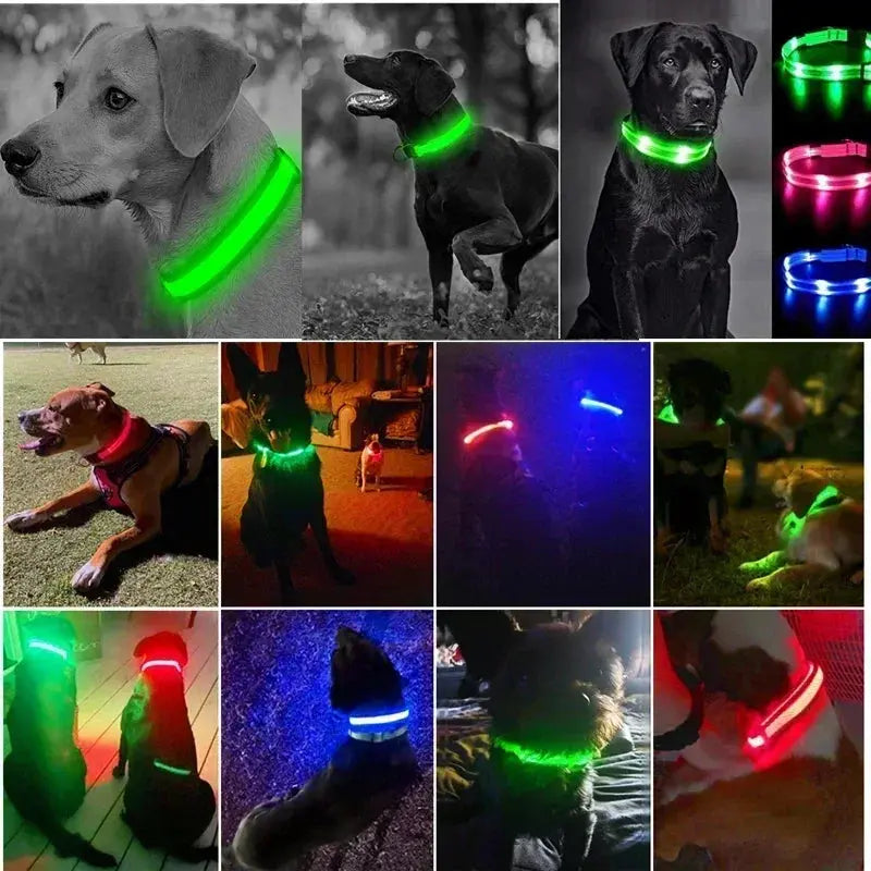 LED Dog Collar | Rechargeable Glowing Safety Collar for Night Walks - Bright Starz Store