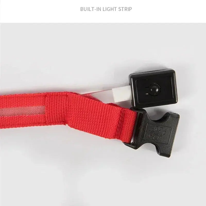 LED Dog Collar | Rechargeable Glowing Safety Collar for Night Walks - Bright Starz Store