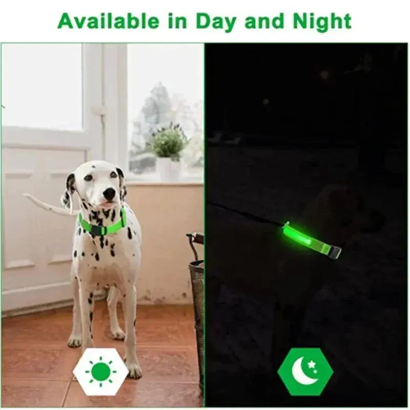 LED Dog Collar | Rechargeable Glowing Safety Collar for Night Walks - Bright Starz Store