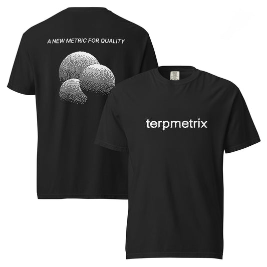 TERPMETRIX Heavyweight T-Shirt – Premium Streetwear Cotton Tee Personality FH Print Store